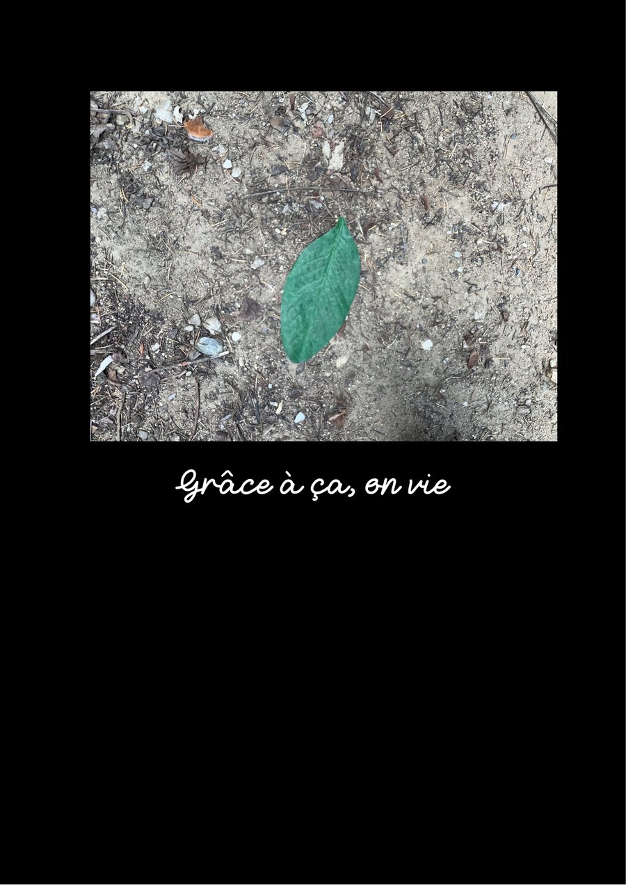 Œuvre d'élève à la manière de Ben : photo d'une feuille verte sur le sol légendée à la main « Grâce à ça, on vit ».
