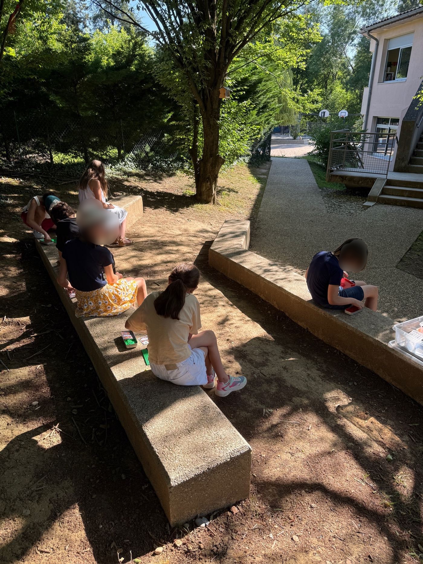 Élèves assis sur les bancs en pierre de la forêt des contes, sous les arbres, concentrés sur leurs jeux et exercices.