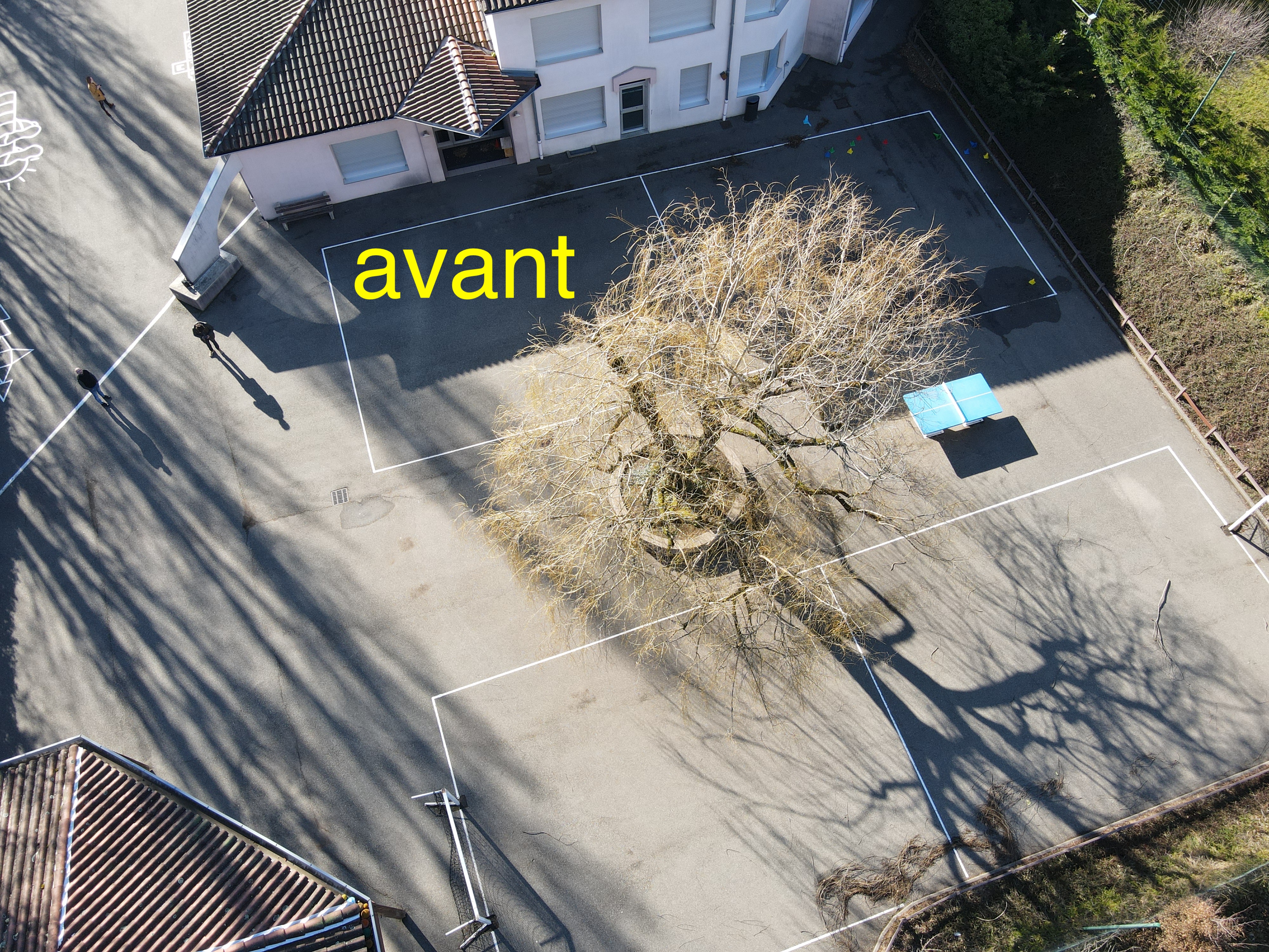 Cour avant travaux 3